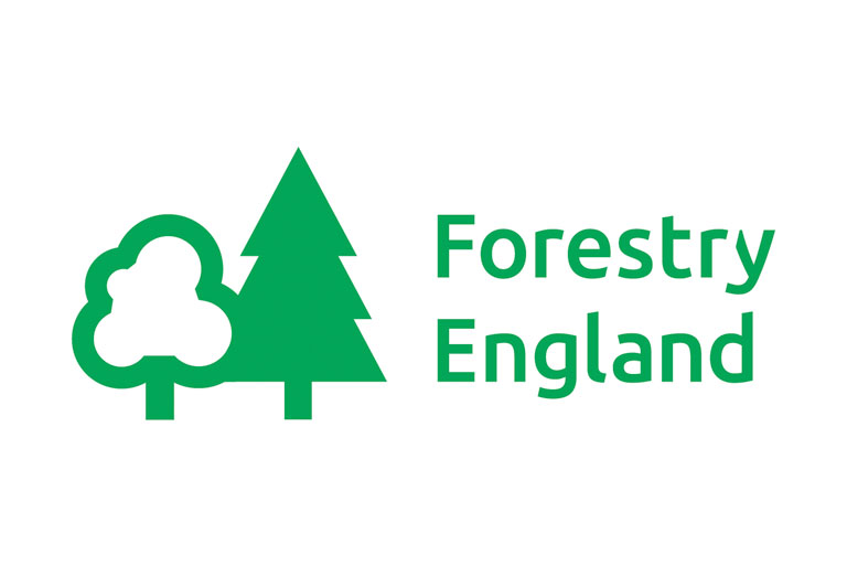 Forestry England Logo